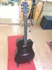 Strinberg FS4D Acoustic Guitar w/ Pickup